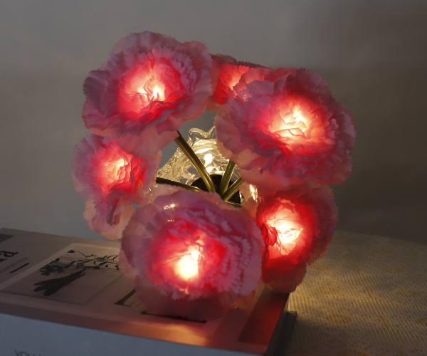LED Gift Lamps 3